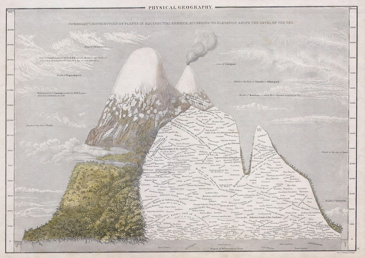 George Aikman, “Physical Geography. Humboldt’s Distribution of Plants in Equinoctial America, According to Elevation Above the Level of the Sea”, (una mappa del 1839 che indica la diffusione dei vari tipi di piante, in America, in base all'altitudine)